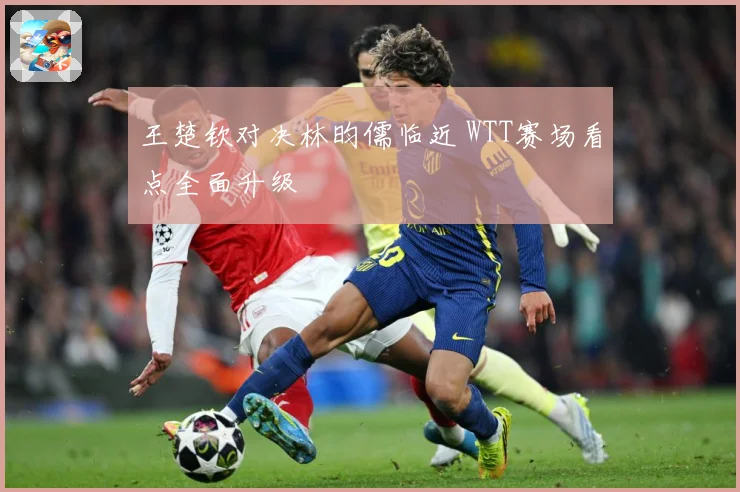 王楚钦对决林昀儒临近 WTT赛场看点全面升级