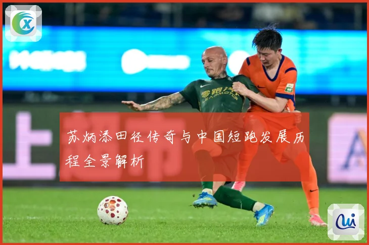 苏炳添田径传奇与中国短跑发展历程全景解析